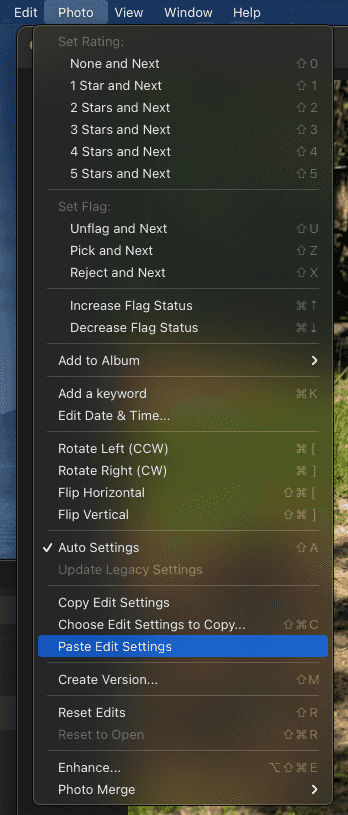 Select paste edit settings button